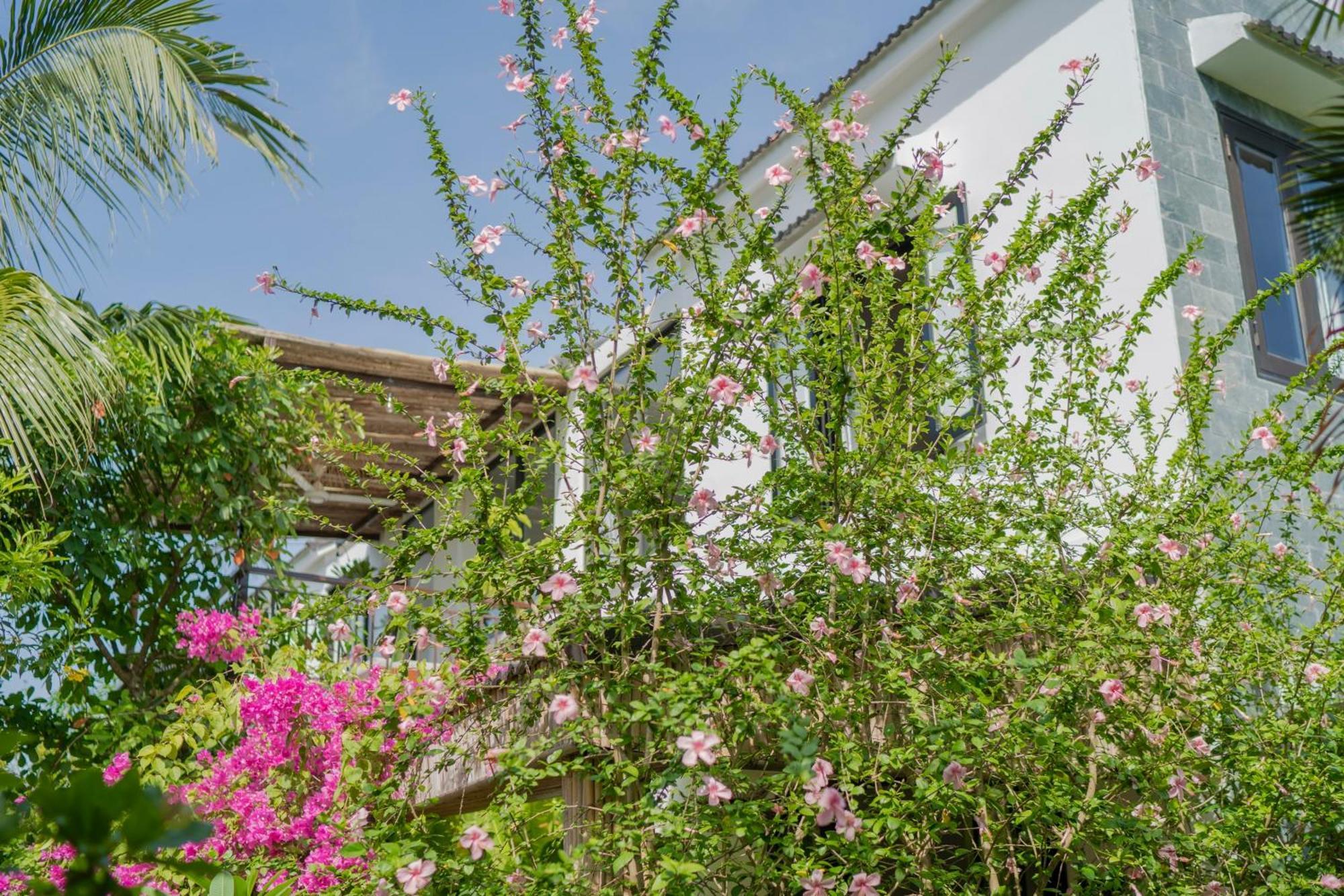 An Bang Garden Pool Villa Хоян Екстер'єр фото